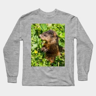 Groundhog Pop-up, Cute Hungry Animal Photograph Long Sleeve T-Shirt